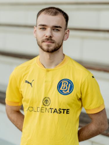 Vinko Pavleka