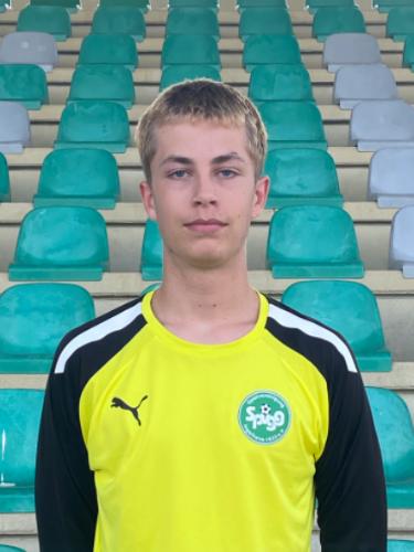 Carl Vincent Haedecke