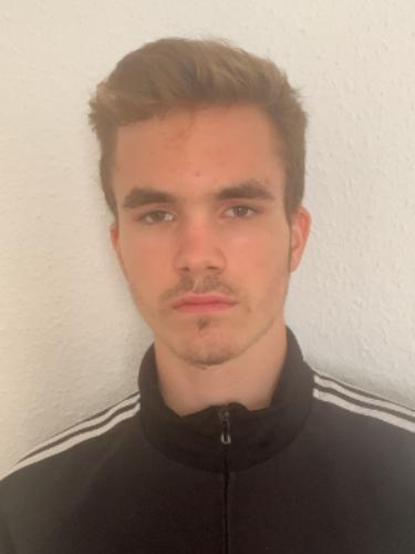 Lewin Heimann