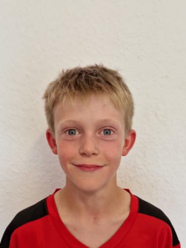 Ronny Alois Bamesreiter