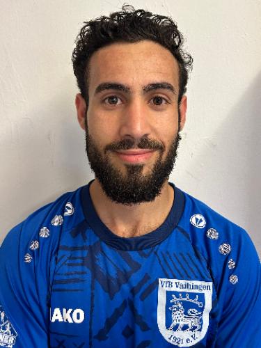 Muhammed Abdulhamied-Elhumsi