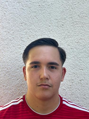Mario Perisa