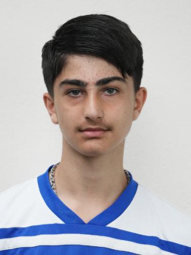 Samyar Sultani