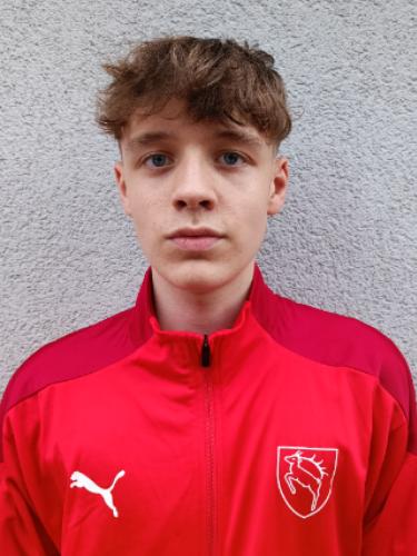 Julius Johannes Lehr