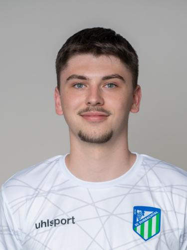 Louis Vollmer