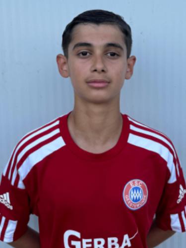 Mehdi Marji