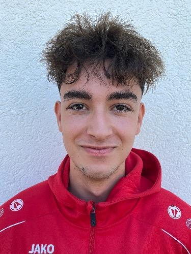 Panagiotis Giannikoglou