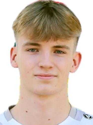 Luca Timo Driessen