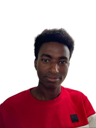 Ibrahim Ramadan Ali