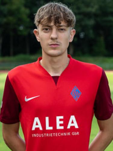 Hannes Oke Ahrens