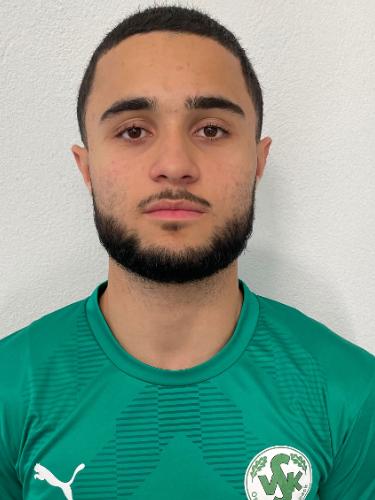 Albert Arslan
