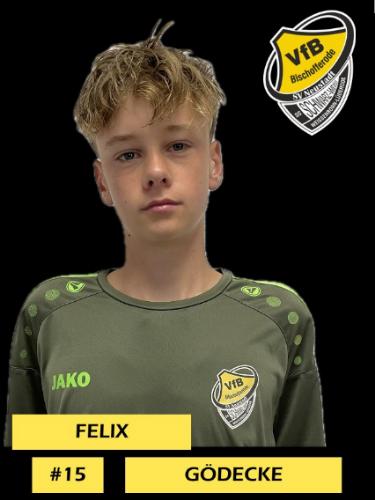 Felix Gödecke
