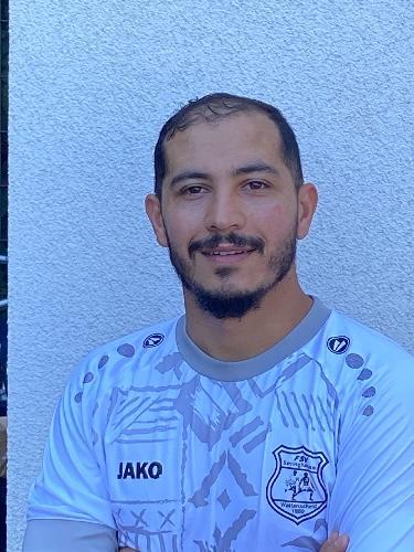 Mohamad Majd Alhamwi