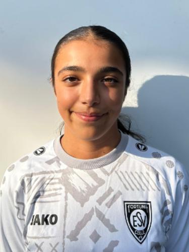 Larin Gevre Ekinci