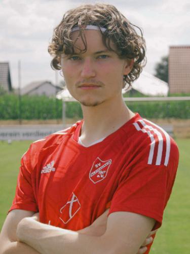 Johannes Hedemann