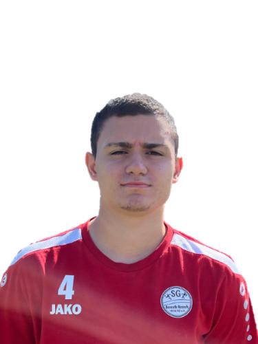 Nedim Kasapovic