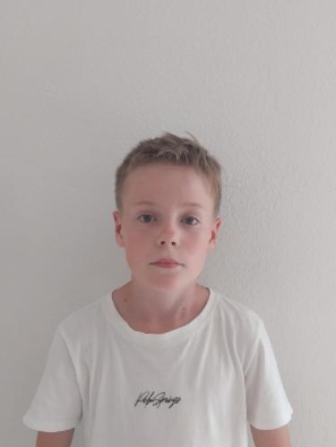Henry Will