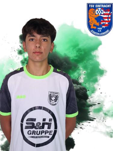 Taylan Demirtas