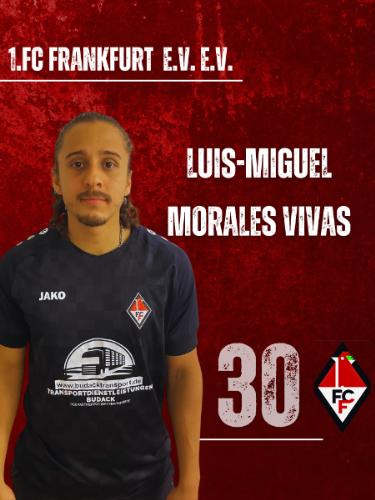 Luis Miguel Morales Vivas