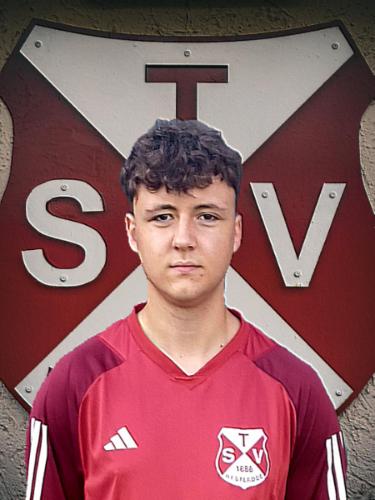 David Ilias Peters