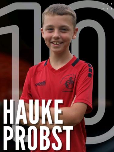Hauke Probst