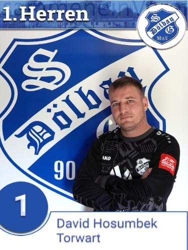 David Hosumbek