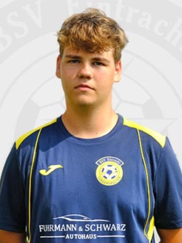 Theo Sickel