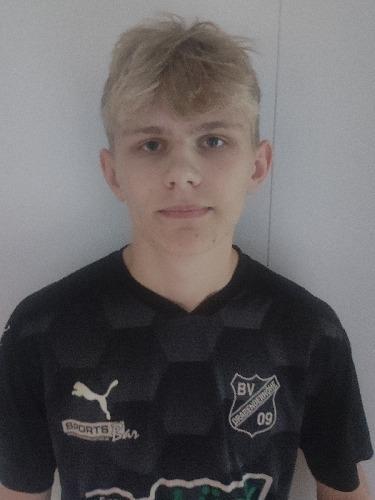 Dimitriy Schein