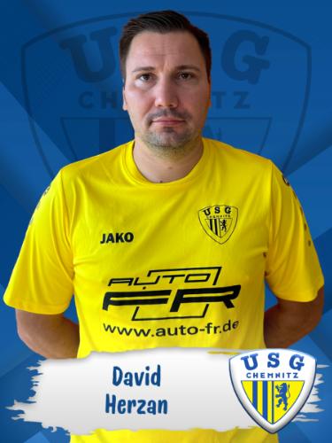 David Herzan