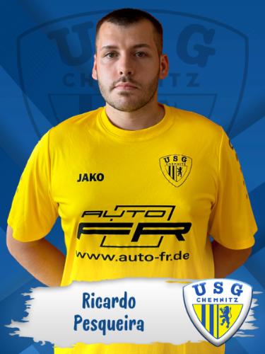 Ricardo Monteiro Pesqueira