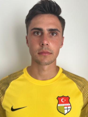 Vedran Matic
