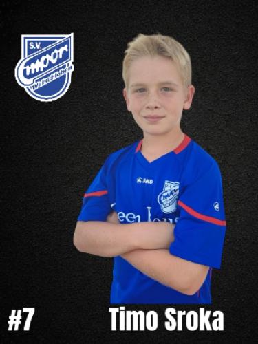 Timo Sroka
