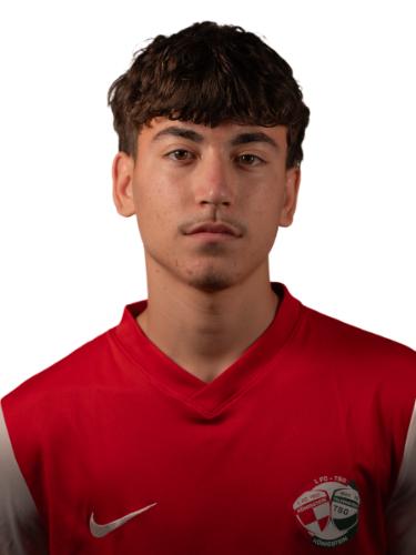Anes Bajraktarevic