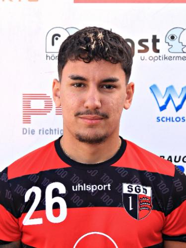 Rodrigo Vieira Silva