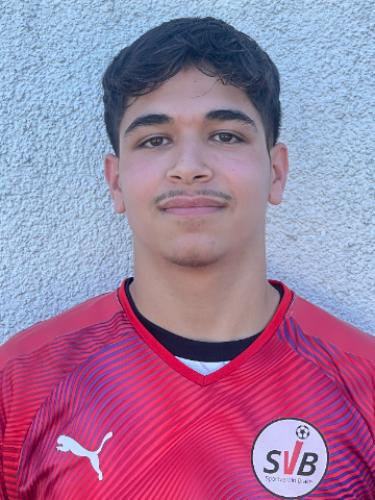 Mahmoud Al Hawi