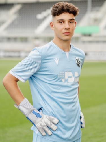 Mario-Christian Ibinceanu-Nistor