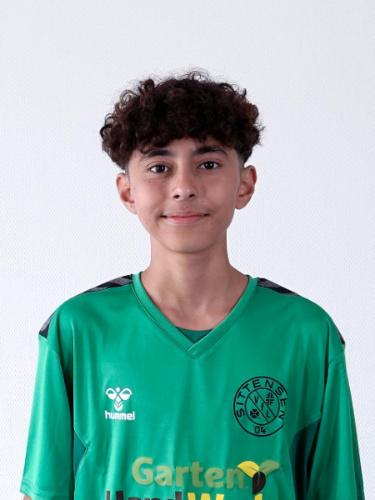 Erfan Mohammadi