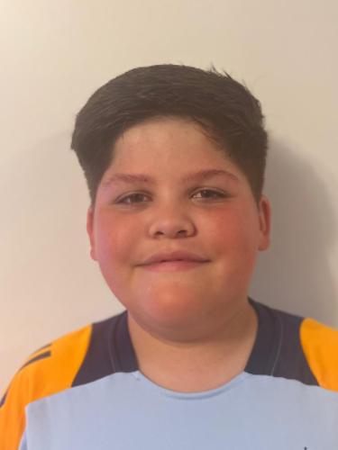 Nikola Milan Radonic´