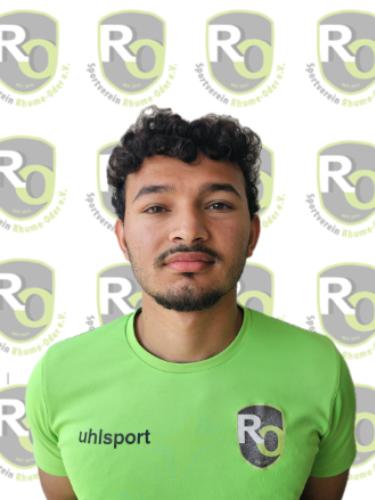 Mohammad Bashir Aldarwish