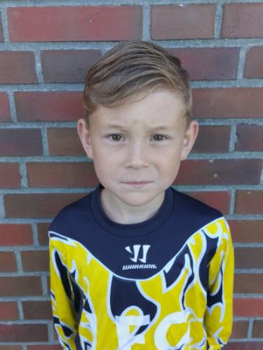 Max Stolle