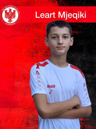 Leart Mjekiqi