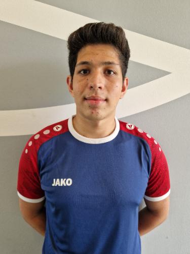 David Santiago Alzate Leon