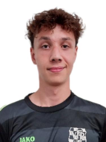 Leonidas Theodoros Altstaedten