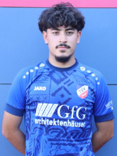 Samir Ahmad Amiri