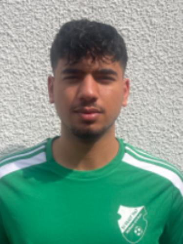 Mohamad Mahdi Alshikh