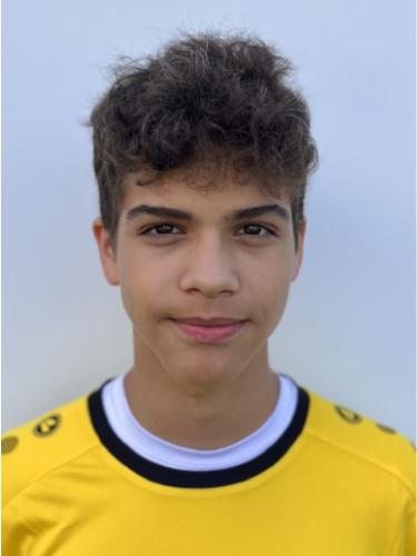 Dion Bijker
