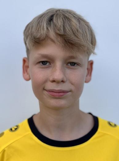 Mats Hesselink
