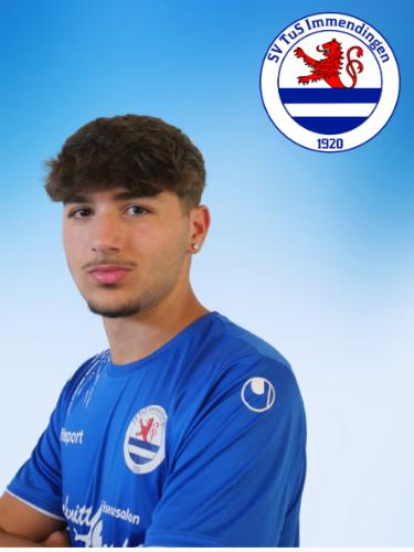 Arion Mehmetaj