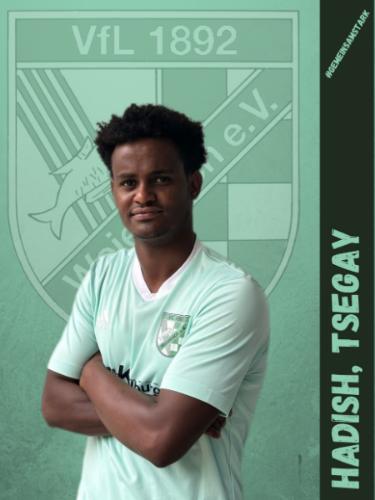 Tsegay Hadish