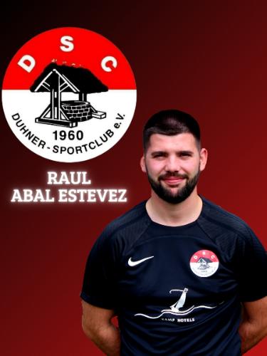 Raul Abal Estevez